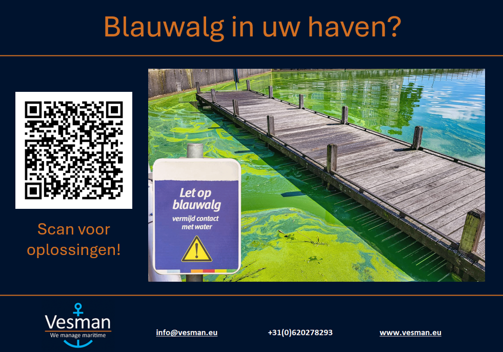 Blauwalg in uw haven?
